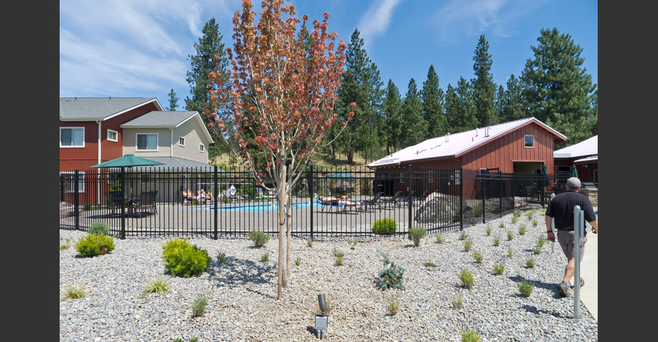 Pine Valley